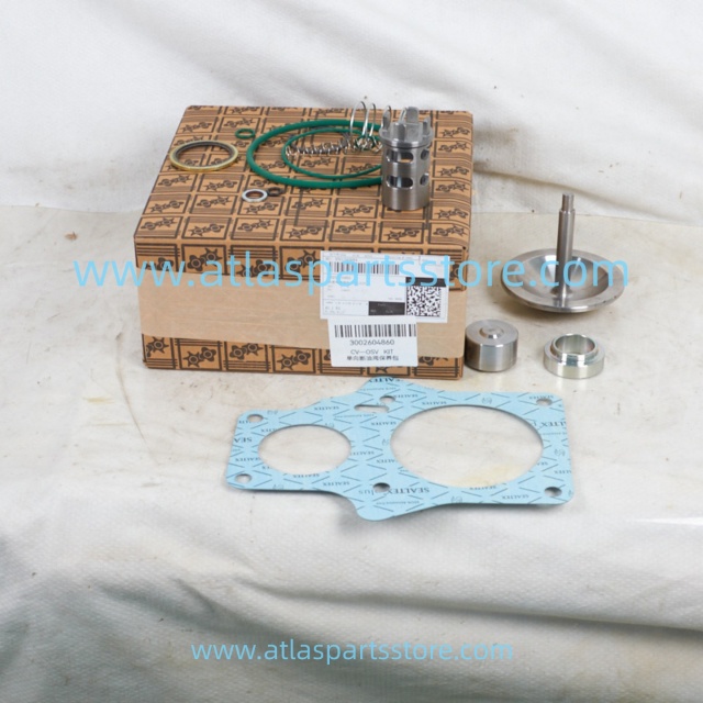 1625170485 Original Industrial Compressor Parts check valve kit for Atlas Copco air compressor parts