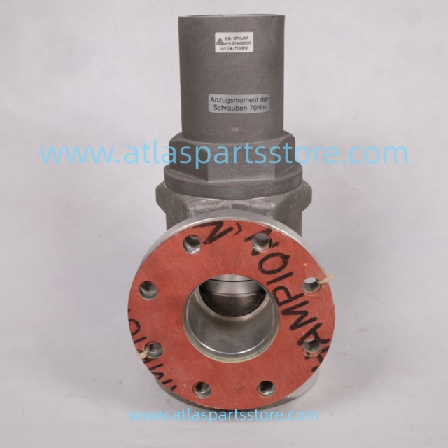 2104020039=2104020023 Original pressure maintenance valve for FU SHENG air compressor parts