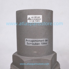 2104020039=2104020023 Original pressure maintenance valve for FU SHENG air compressor parts