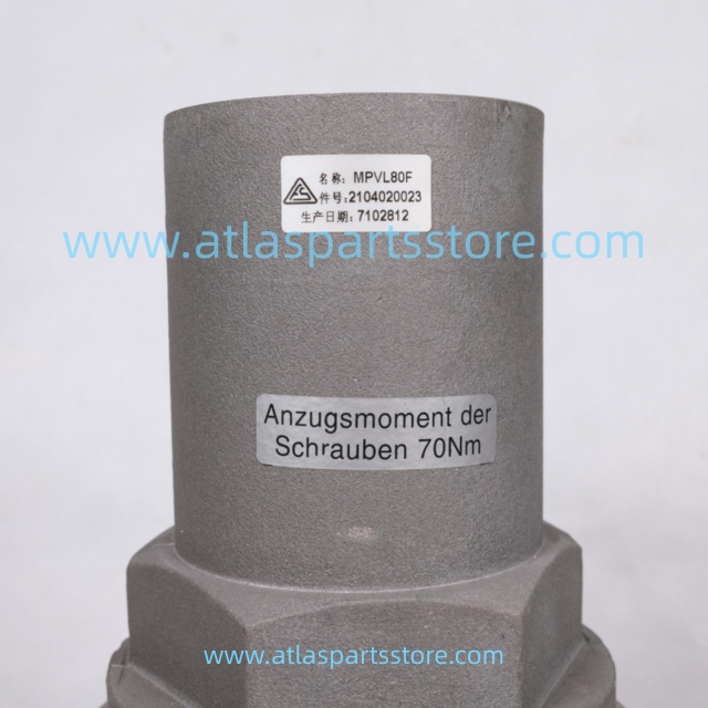 2104020039=2104020023 Original pressure maintenance valve for FU SHENG air compressor parts