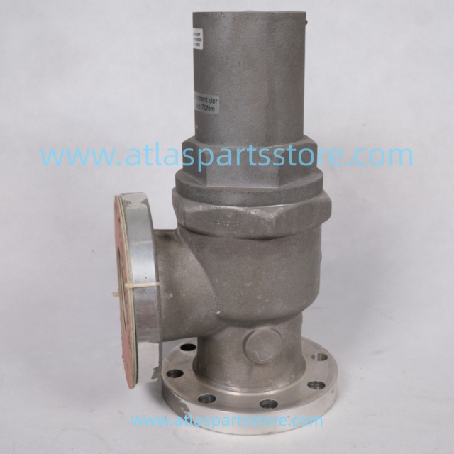 2104020039=2104020023 Original pressure maintenance valve for FU SHENG air compressor parts