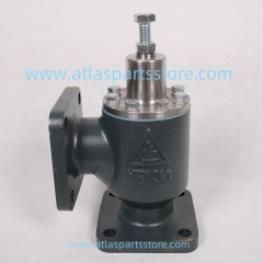 2605332181 Original pressure maintenance valve YF1201 for FU SHENG air compressor parts