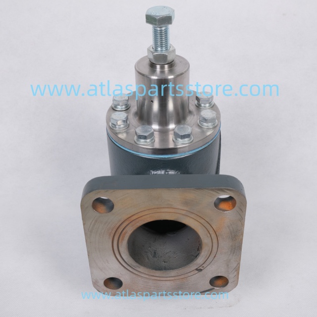 2605332181 Original pressure maintenance valve YF1201 for FU SHENG air compressor parts