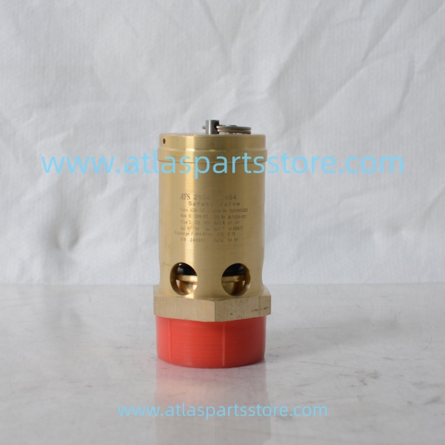 2104110484 Original Industrial Compressor Parts safety valve for FU SHENG air compressor parts
