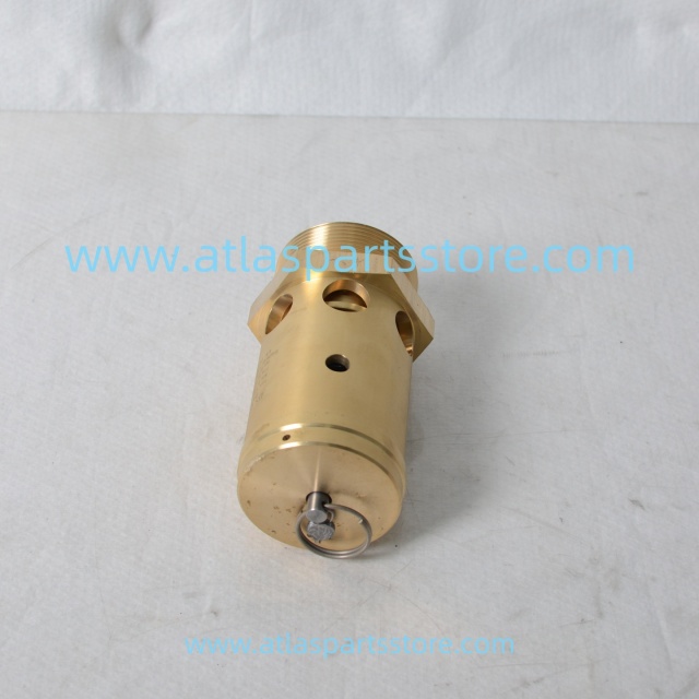 2104110484 Original Industrial Compressor Parts safety valve for FU SHENG air compressor parts