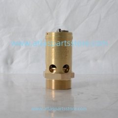 2104110484 Original Industrial Compressor Parts safety valve for FU SHENG air compressor parts