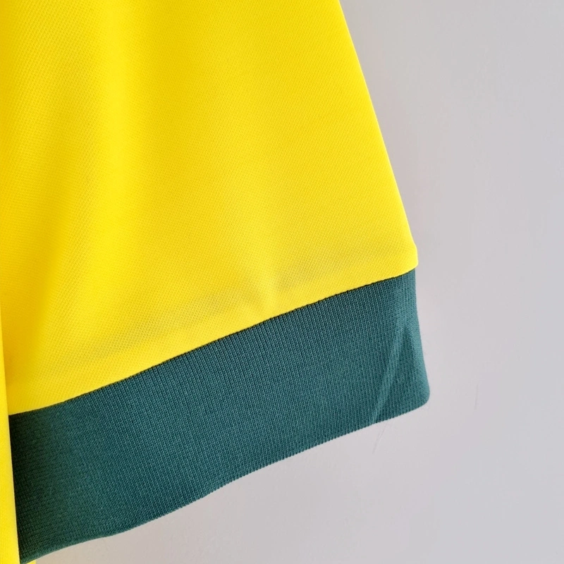 1970 BRAZIL HOME