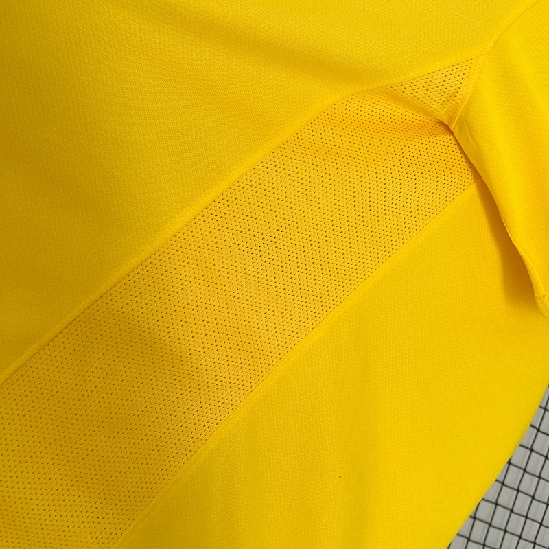 2010 BRAZIL HOME