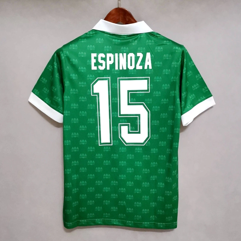 1995 MEXICO HOME