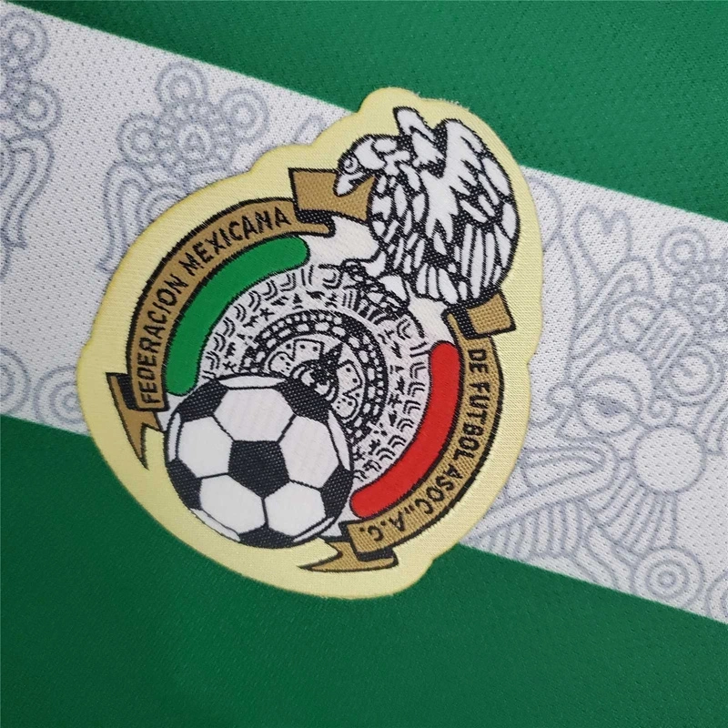 2006 MEXICO HOME