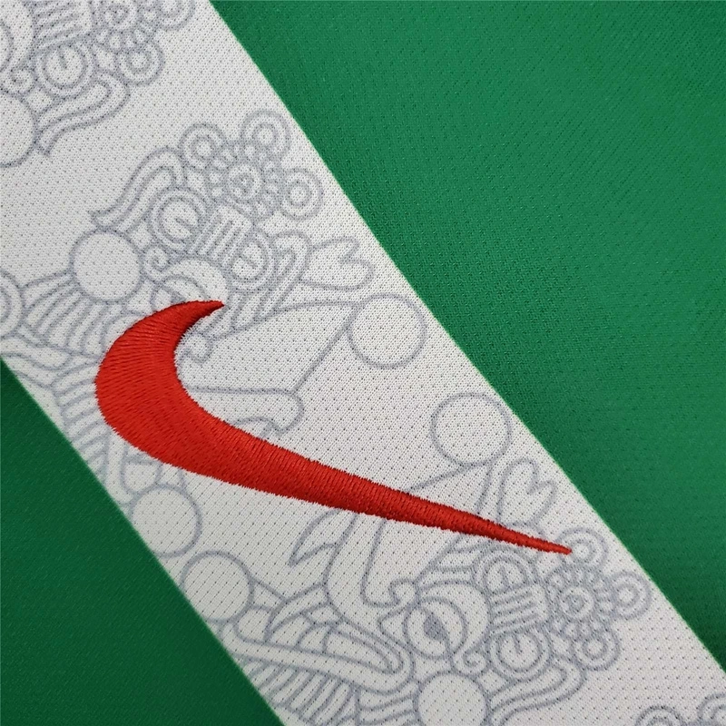 2006 MEXICO HOME