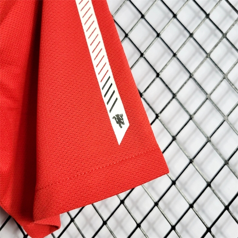 2010-11 MANCHESTER UNITED HOME