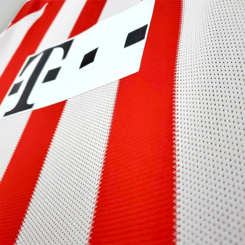 2010-11 BAYERN MUNICH HOME