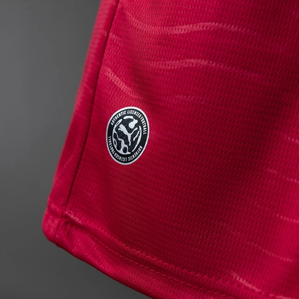 2026 PORTUGAL HOME WORLD CUP LONG SLEEVE (FAN VERSION)