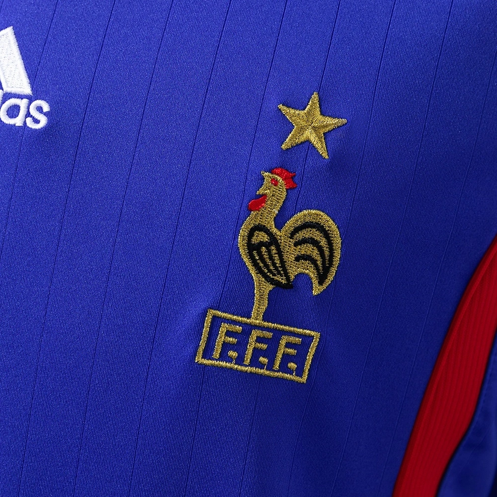 2006 FRANCE HOME