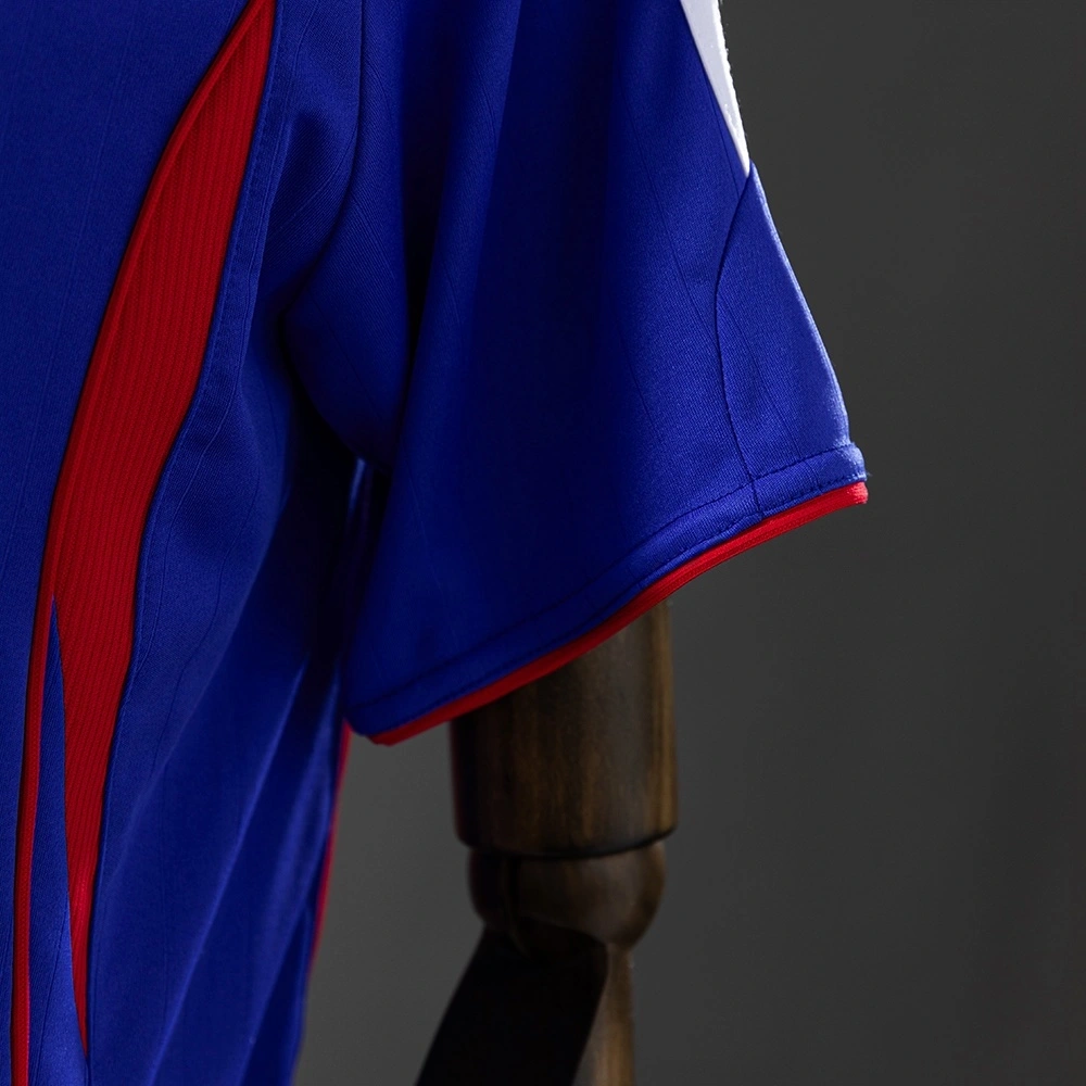 2006 FRANCE HOME