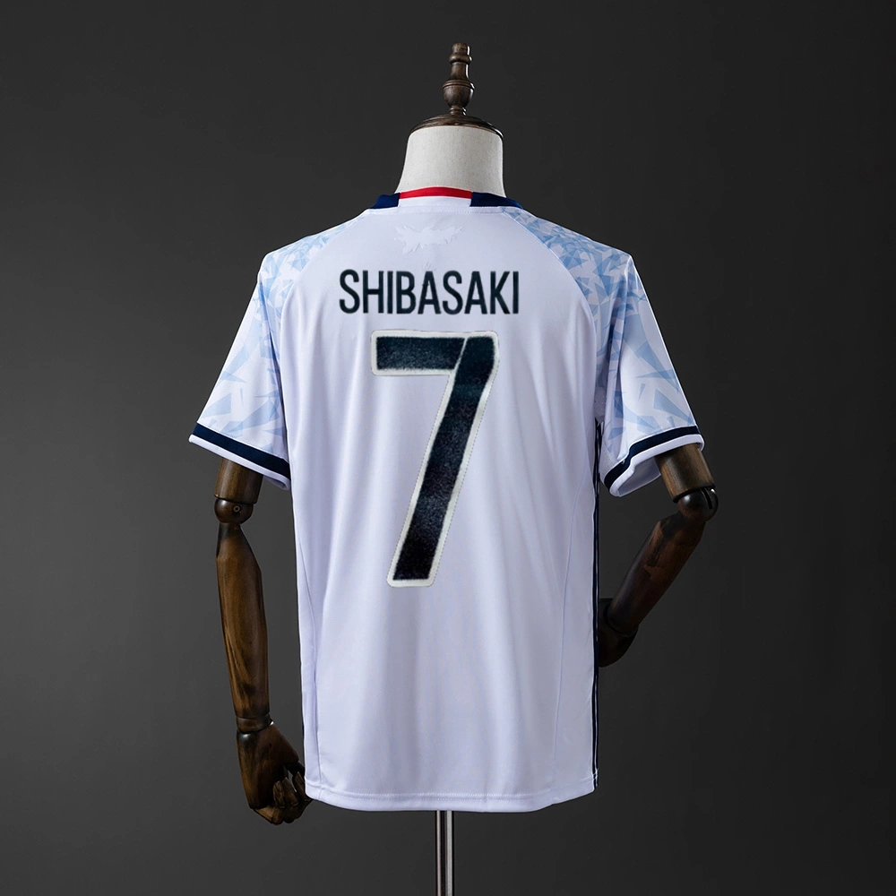 2016-17 JAPAN AWAY