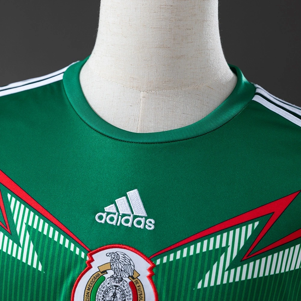 2014 MEXICO HOME