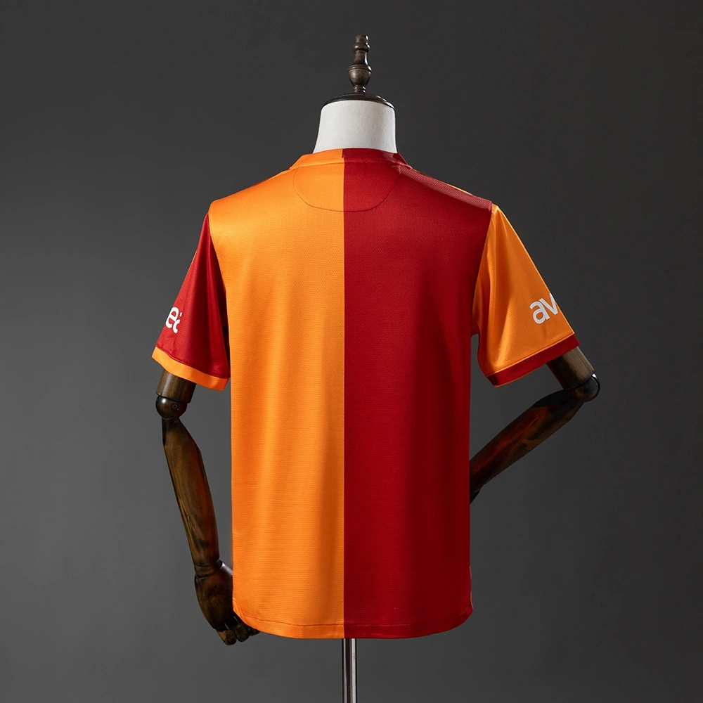 2013-14 GALATASARAY HOME