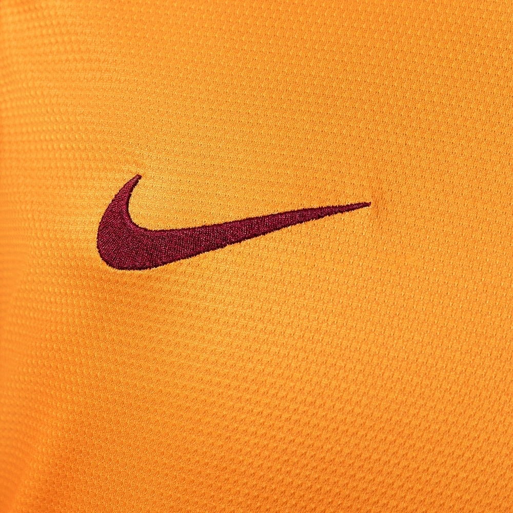 2013-14 GALATASARAY HOME