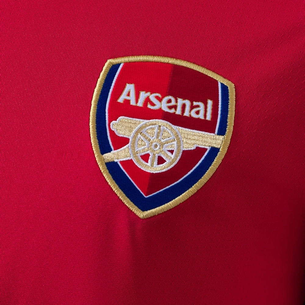 2010-11 ARSENAL HOME