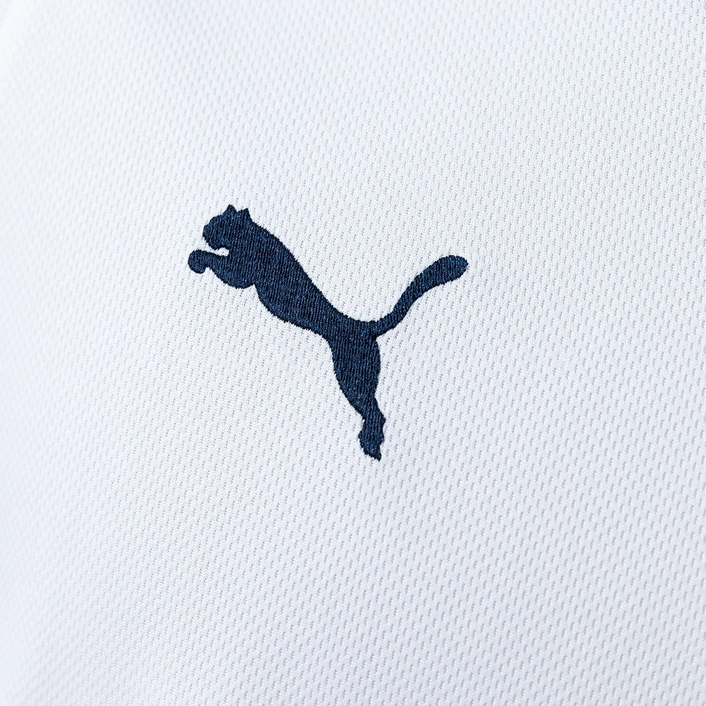 2008-09 TOTTENHAM HOTSPUR HOME