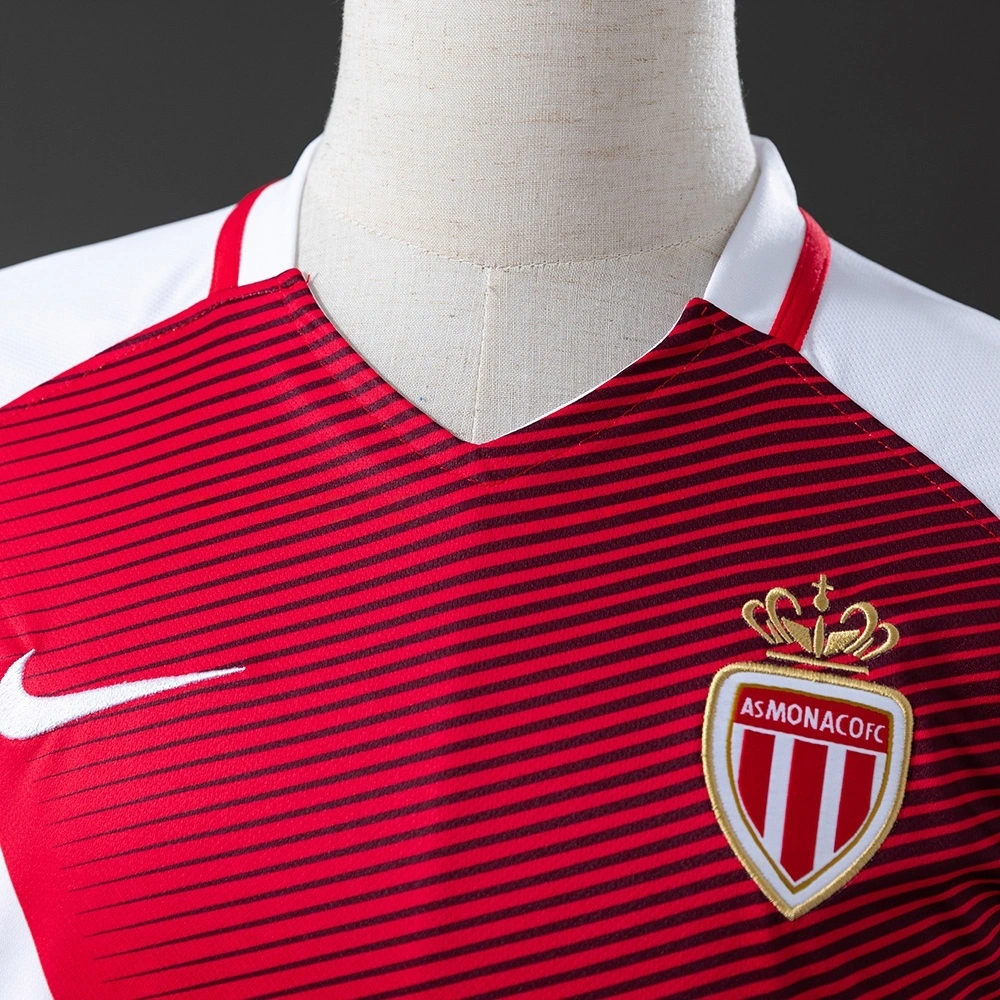 2016-17 MONACO HOME