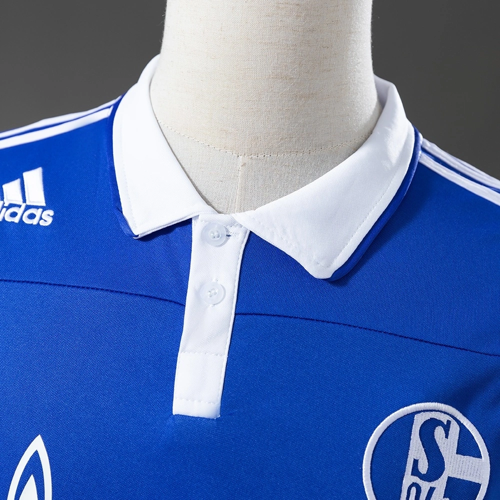 2010-11 SCHALKE 04 HOME