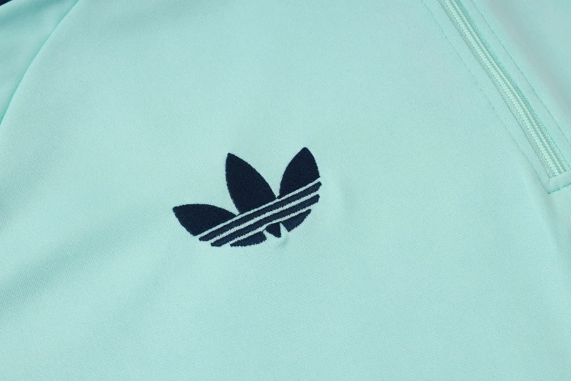2026-27 GERMANY TRACKSUITS TRAINING SUIT-LIGHT GREEN