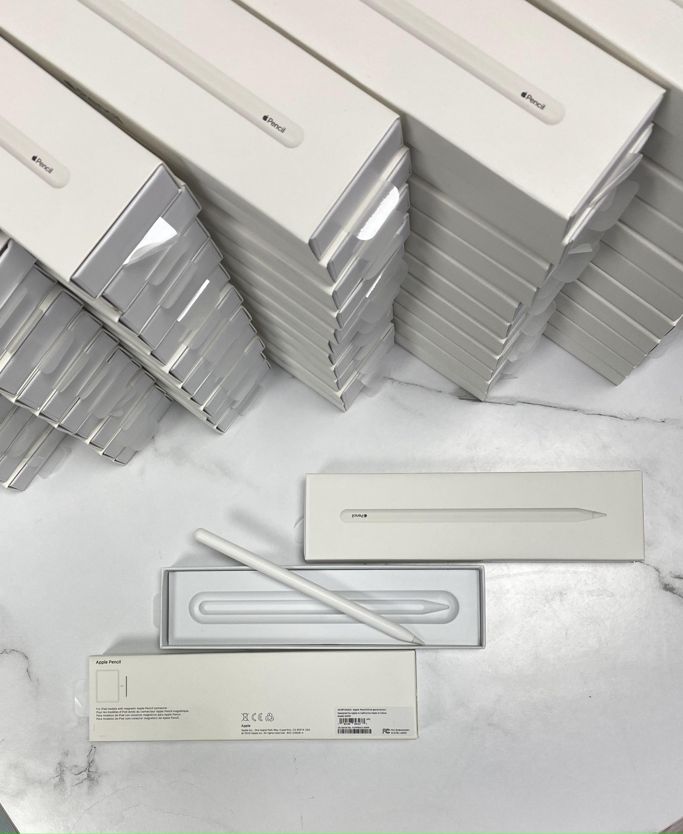 Apple Pencil (2st generation)