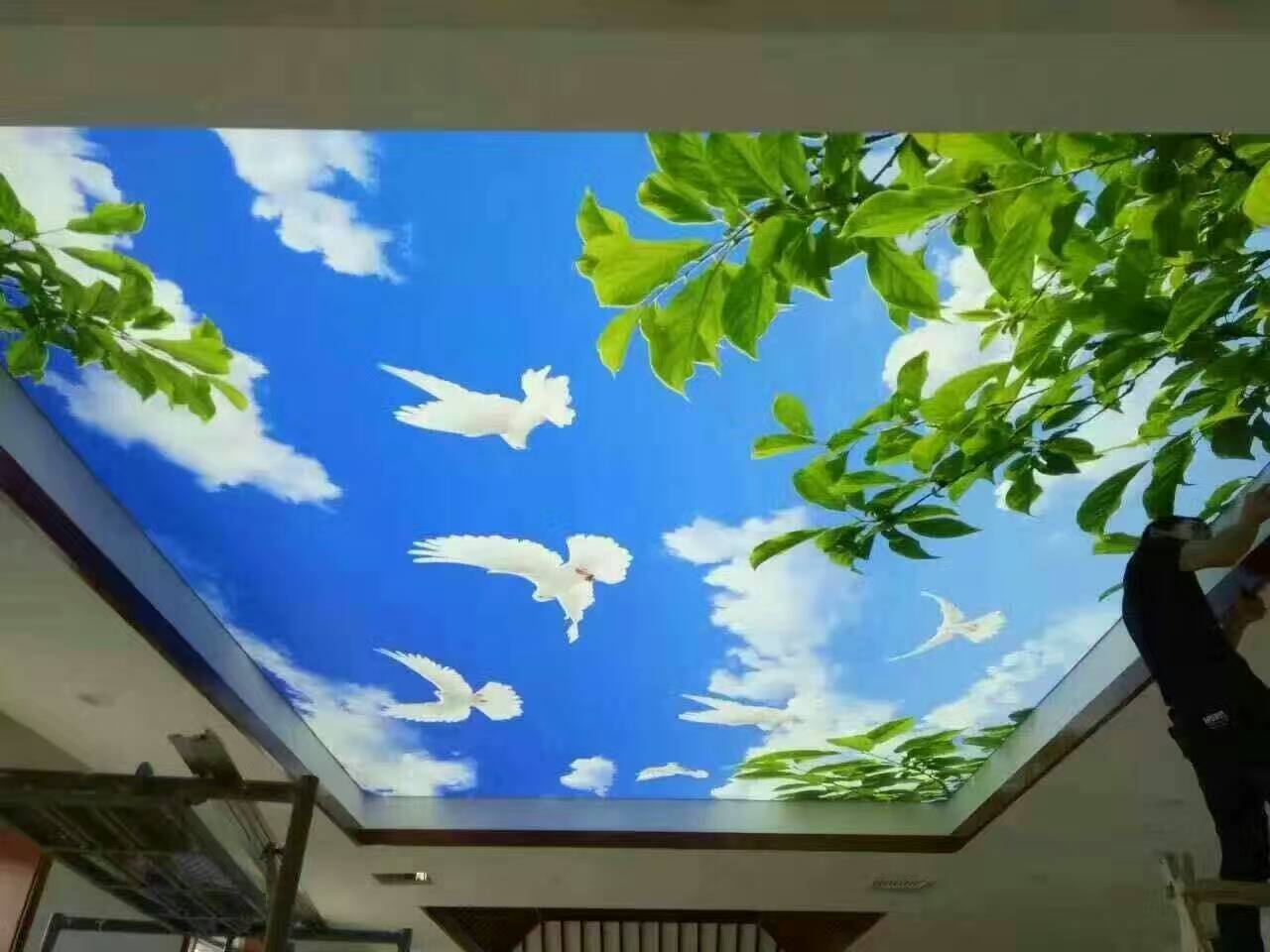 Window Box Back Lighting XING HANG YUN - Custom Light Boxes, Light Signs & Aluminum Profiles