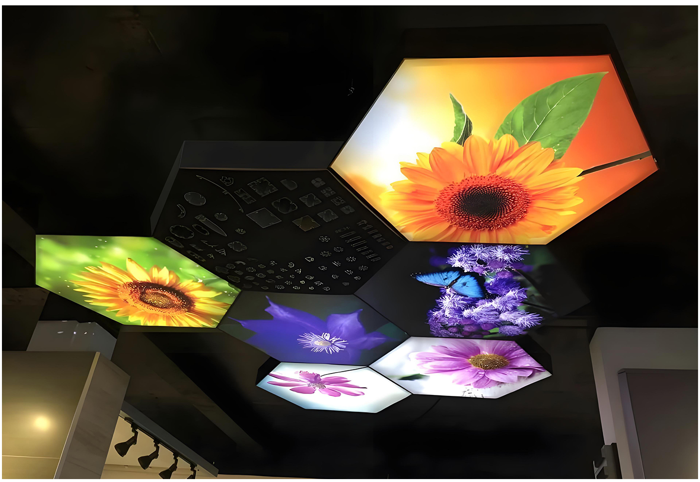 Regular hexagon light box