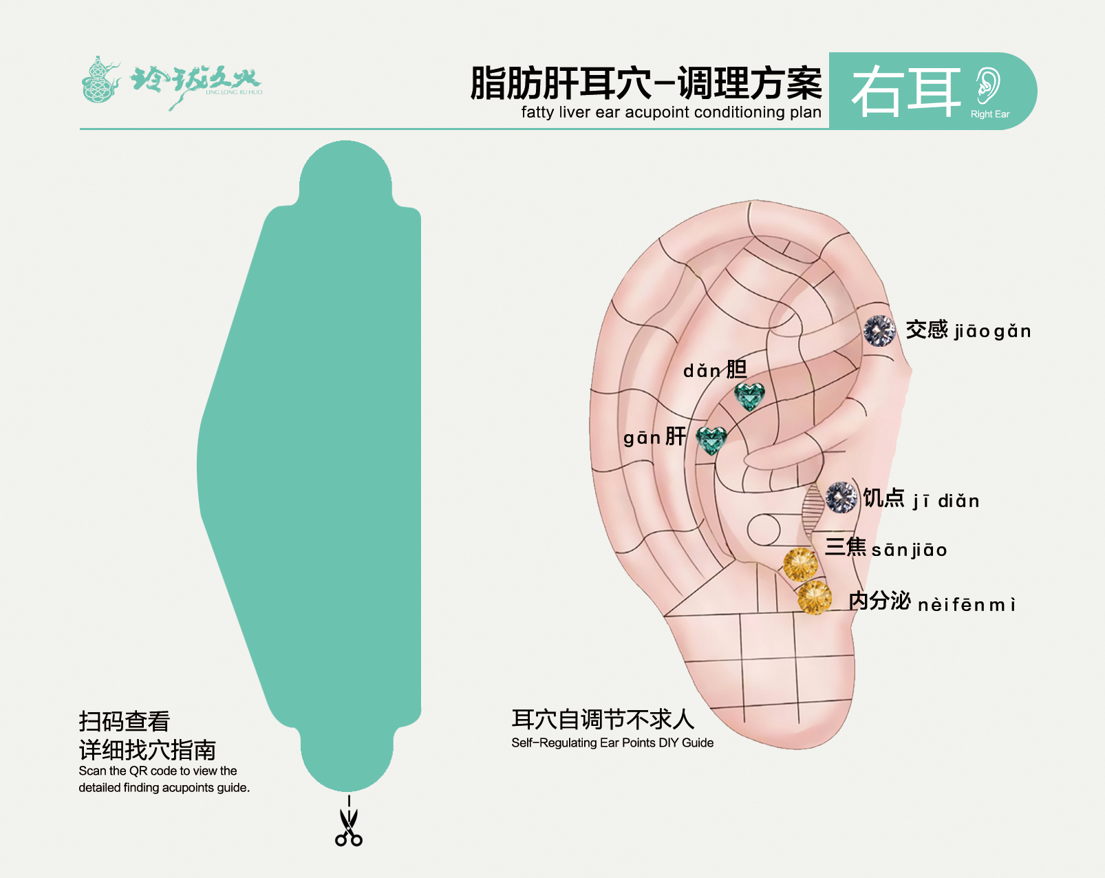 Ear acupoint hanging ear plug