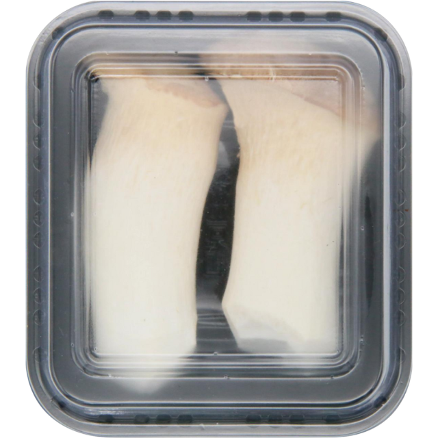 King Oyster (Pleurotus eryngii) — Profit-Ready Superfood for Distributors & Importers