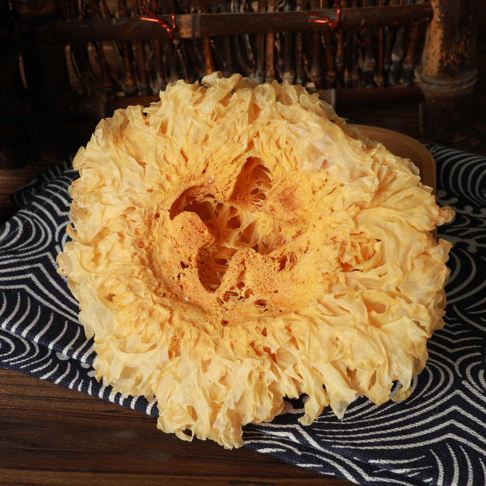 Dried Silver Fungus (Tremella fuciformis)