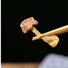 Dried Himematsutake (Agaricus blazei Murill / Royal Sun Agaricus)