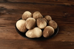 Premium Straw Mushroom – Volvariella volvacea for Global Distribution