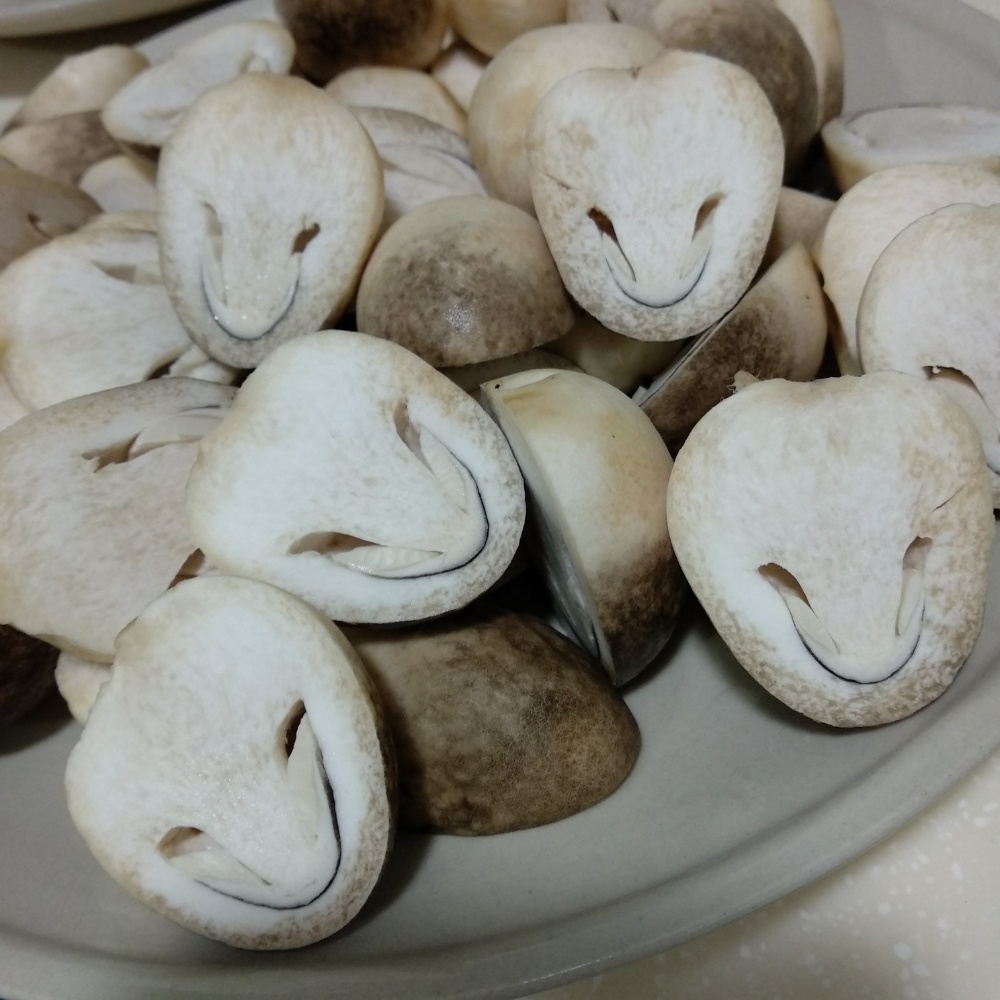 Premium Straw Mushroom – Volvariella volvacea for Global Distribution