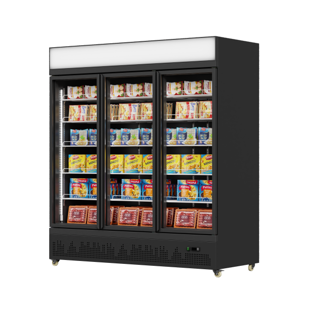 HR-77LDM Frozen Display Freezer