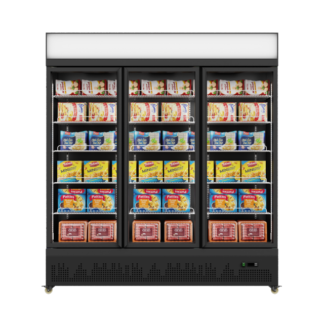 HR-77LDM Frozen Display Freezer