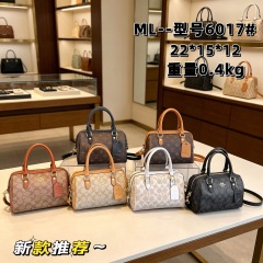 CO ML6017 NG