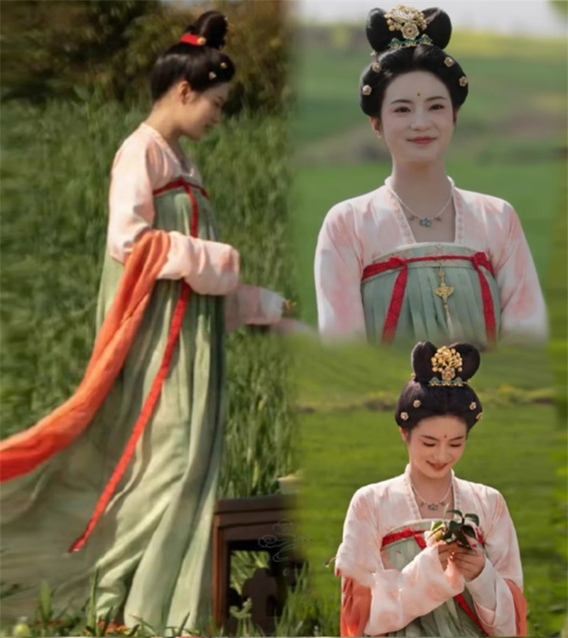 Traditional Tang Dynasty Hanfu for Noble Lady Princess Costume Drama Flourished Peony Delicate Embroidered Women's Dress with Hair Jewelry