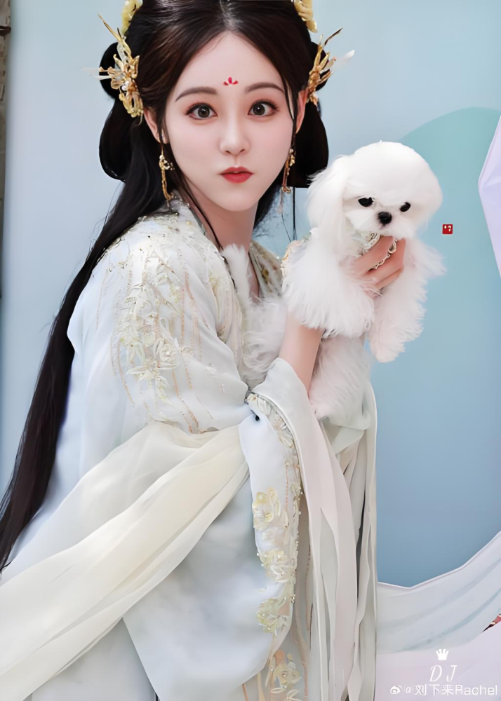 Shu Juan Yi Meng A Dream within A Dream Funny Drama Group Costumes Original High Quality Costumes Ancient Chinese Fairy Hanfu All Girls Dreamed Fairy Costumes Ancient Chinese Fairy Hanfu Cosplay Wear Photography Dress