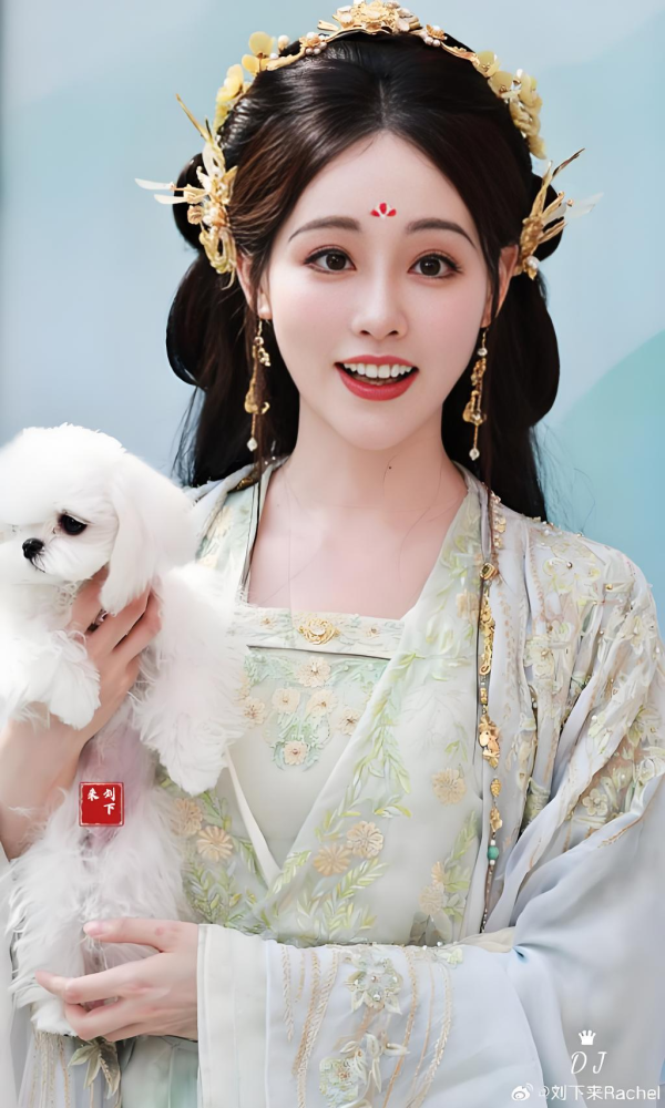 Shu Juan Yi Meng A Dream within A Dream Funny Drama Group Costumes Original High Quality Costumes Ancient Chinese Fairy Hanfu All Girls Dreamed Fairy Costumes Ancient Chinese Fairy Hanfu Cosplay Wear Photography Dress