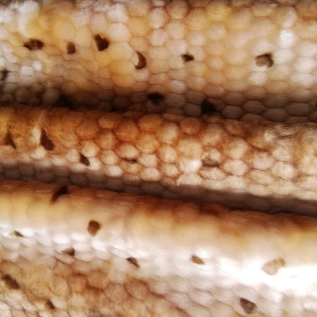 Short Plush Animal Print Faux Fur Fabric For Rugs Fashion Garments and Display Decoration