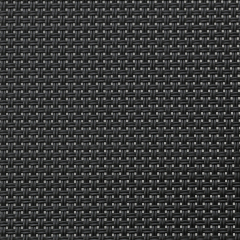 WP100