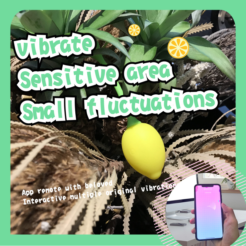 Women can wear sex toys gift vibration +APP