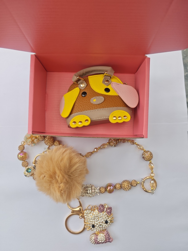 Mini Bag with Charm and Chain in the Box Set Pick on Live