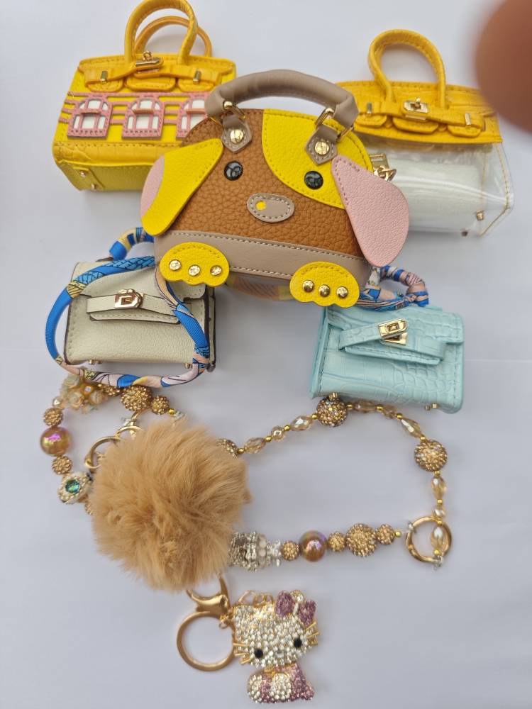 Mini Bag with Charm and Chain in the Box Set Pick on Live