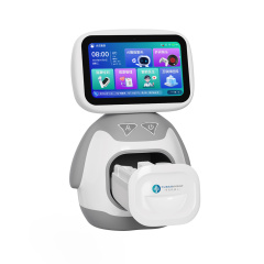 Intelligent Health Care Companion Robot